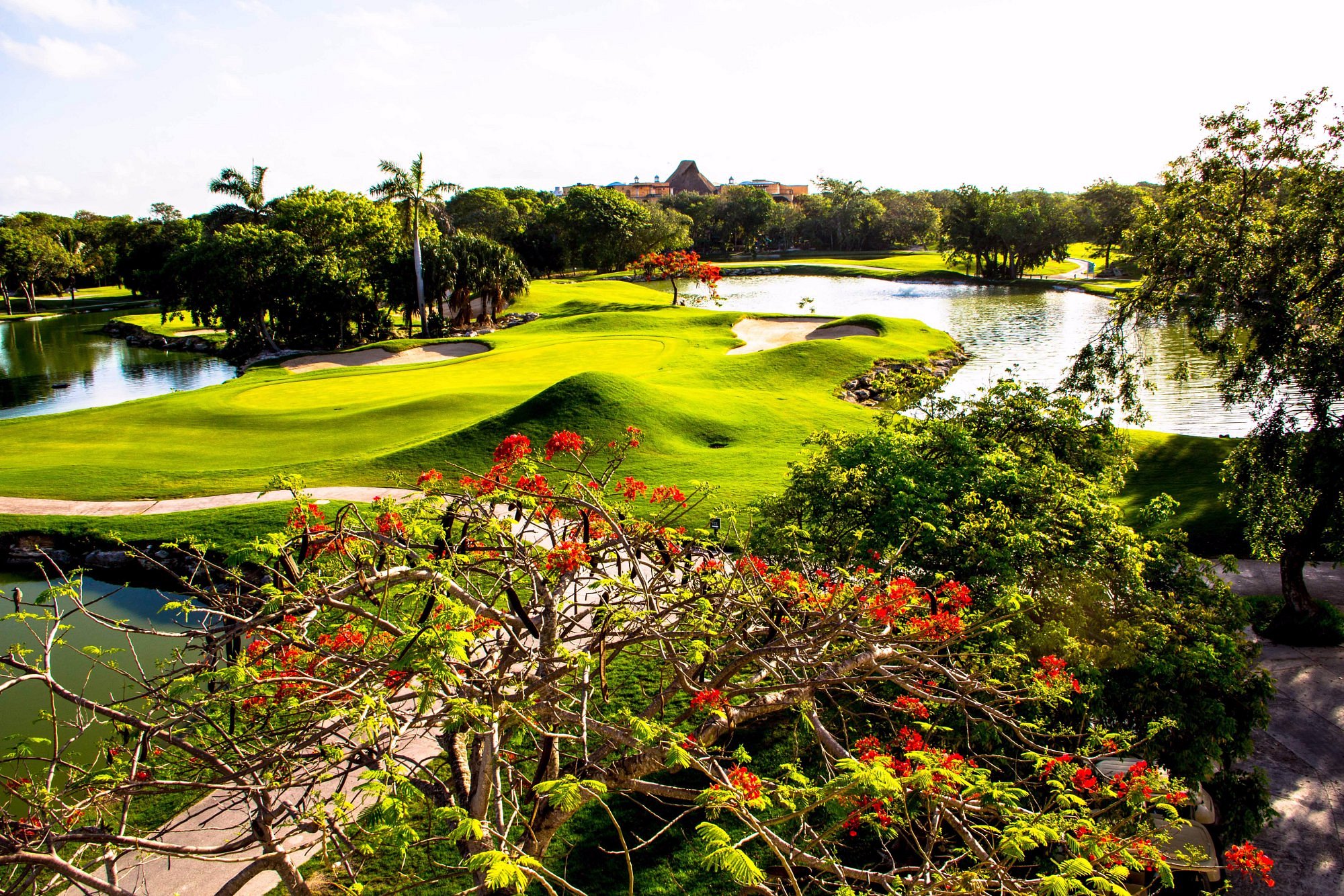 hard rock golf course cancun