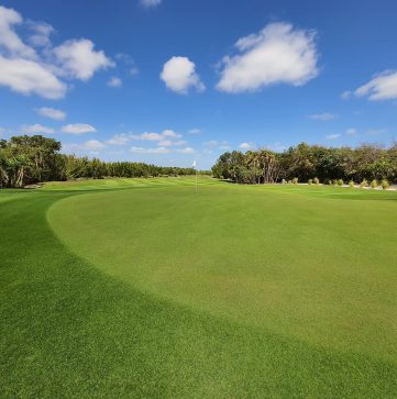 green-view-hole-13-at-riviera-cancun-golf-club-course-cancun-book-tee-time-local-caddie